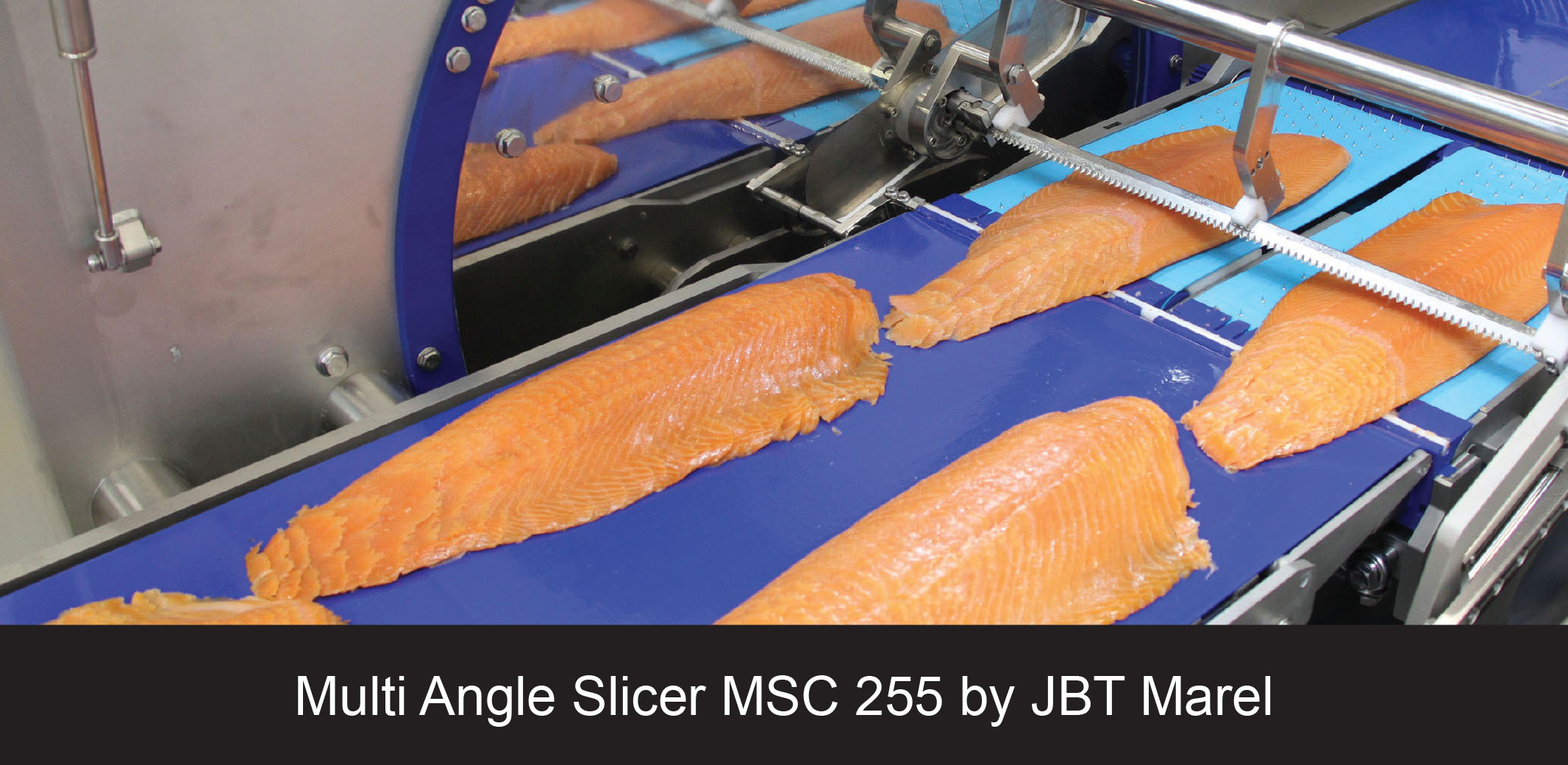 JBT Marel Multi Angle Slicer MSC 255 pic