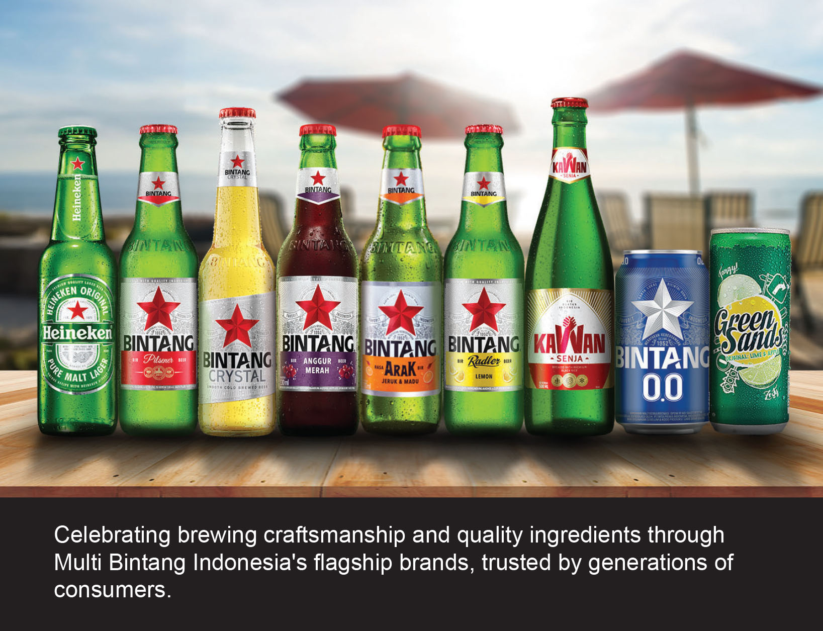 Igus multi bintang indonesia